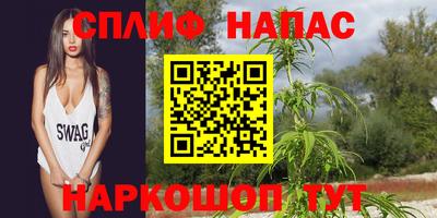 МДПВ Славянск-на-Кубани