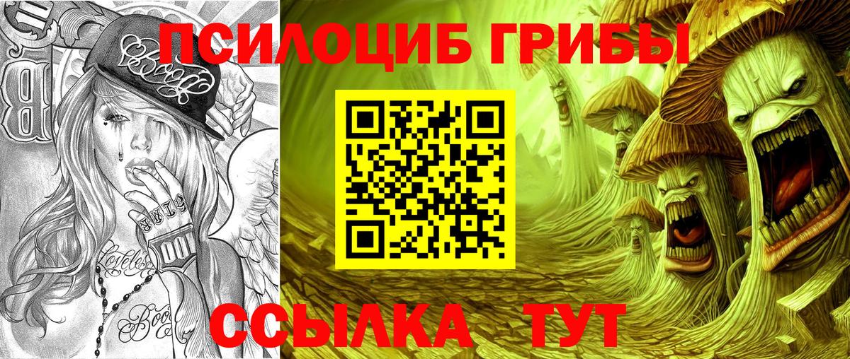 Галлюциногенные грибы Psilocybe Оренбург
