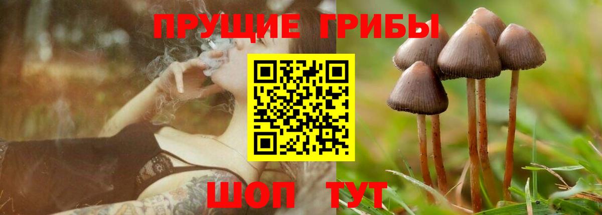 Оренбург  Галлюциногенные грибы ЛСД  Вход с VPN  Галлюциногенные грибы ЛСД 